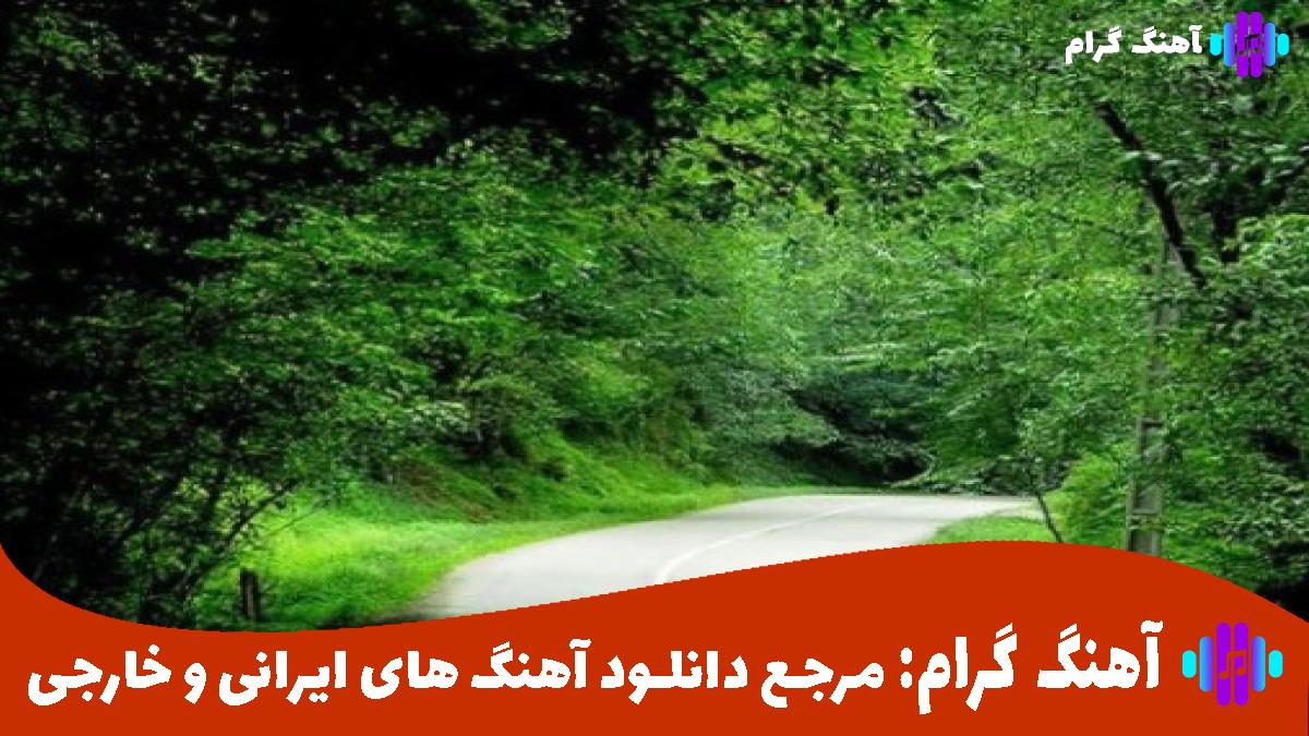 کاور آهنگ مثل یه دیوونم از هایده و محسن چاوشی 
